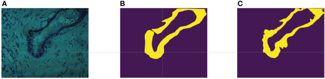 Figure 3