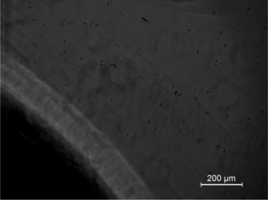 Fig.7