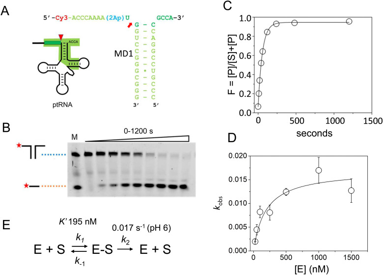 Fig. 2
