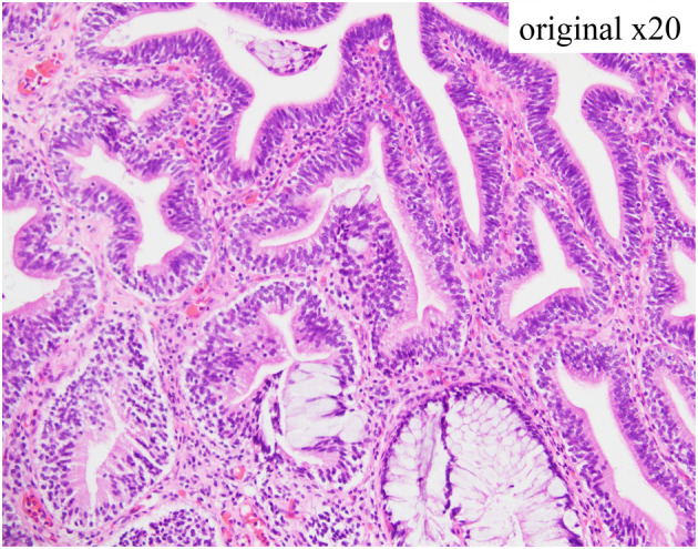 Fig. 3