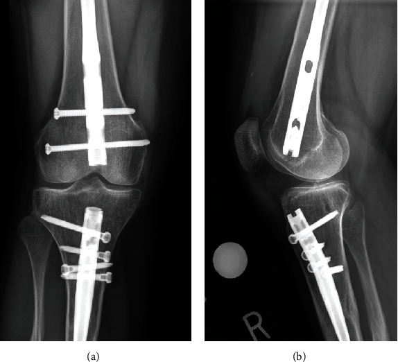 Figure 7