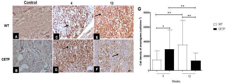 Figure 5