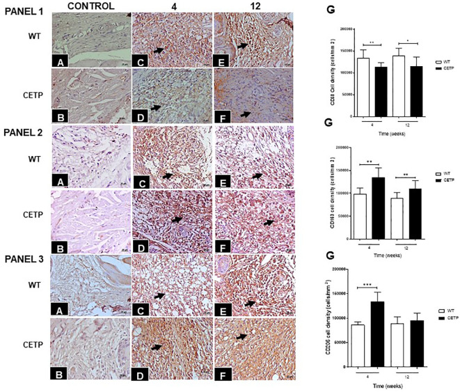 Figure 6