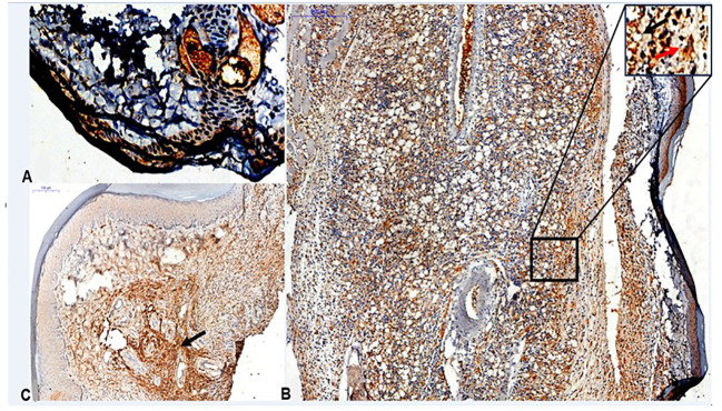 Figure 9