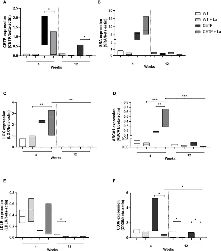 Figure 11