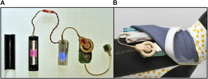 FIGURE 2