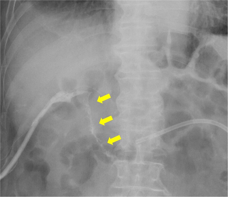 Figure 8