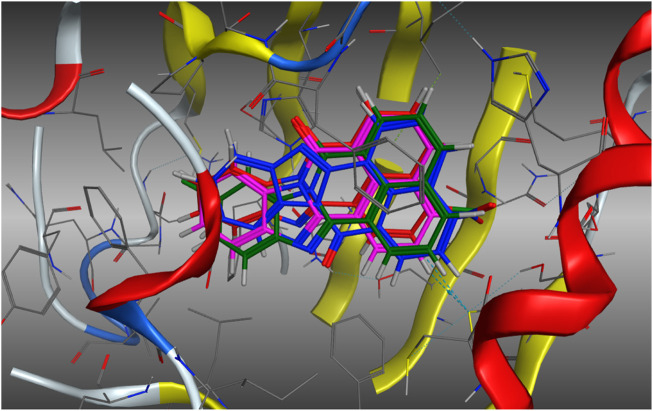FIGURE 6