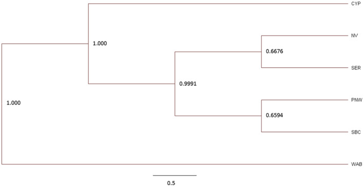 FIGURE 4