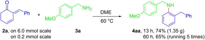 Scheme 5