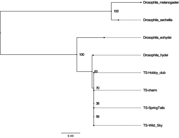 FIGURE 2
