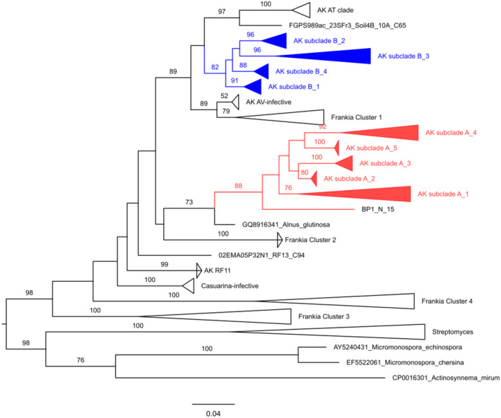 FIGURE 1