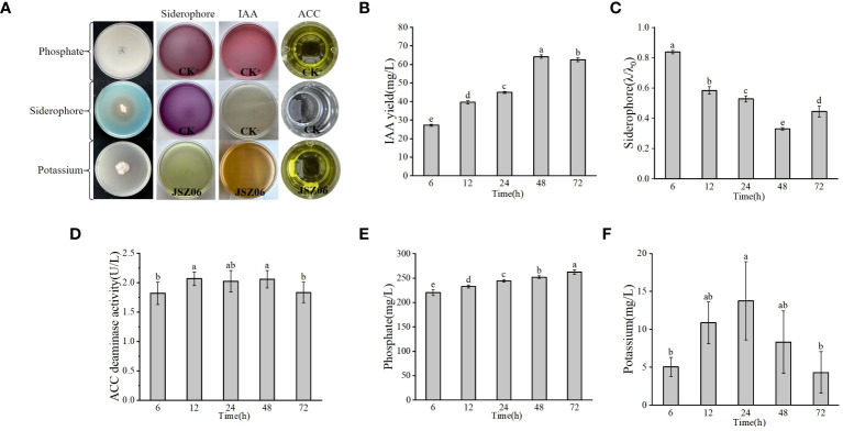 Figure 3