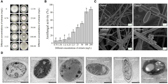 Figure 5