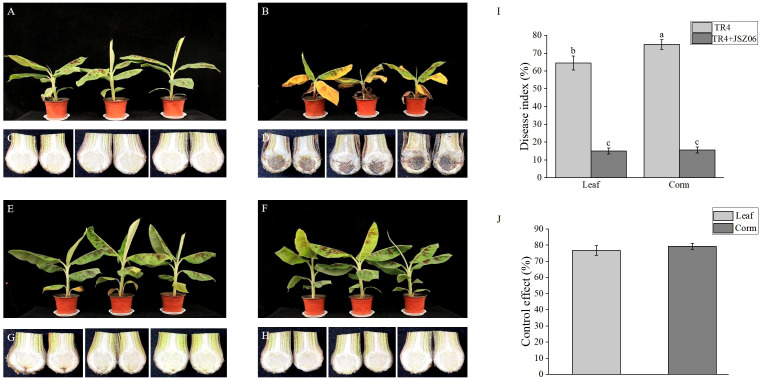 Figure 6