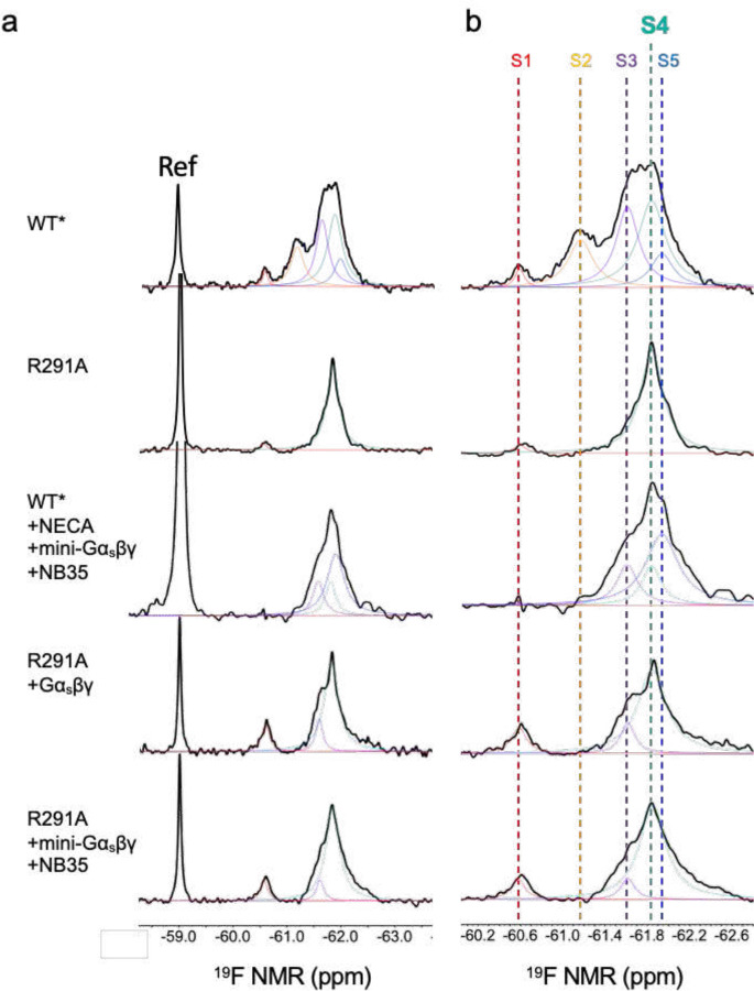 Extended Data Fig. 1