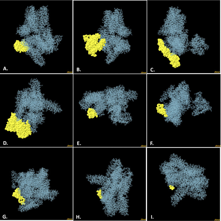 Fig 8