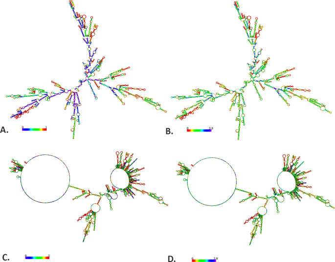 Fig 12