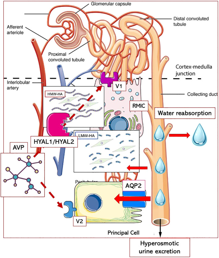 Figure 7