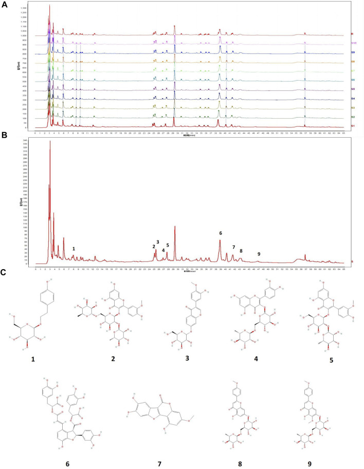 FIGURE 7