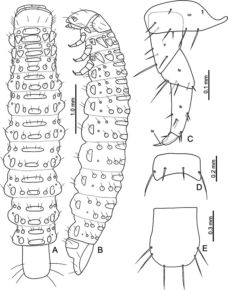 Figure 8