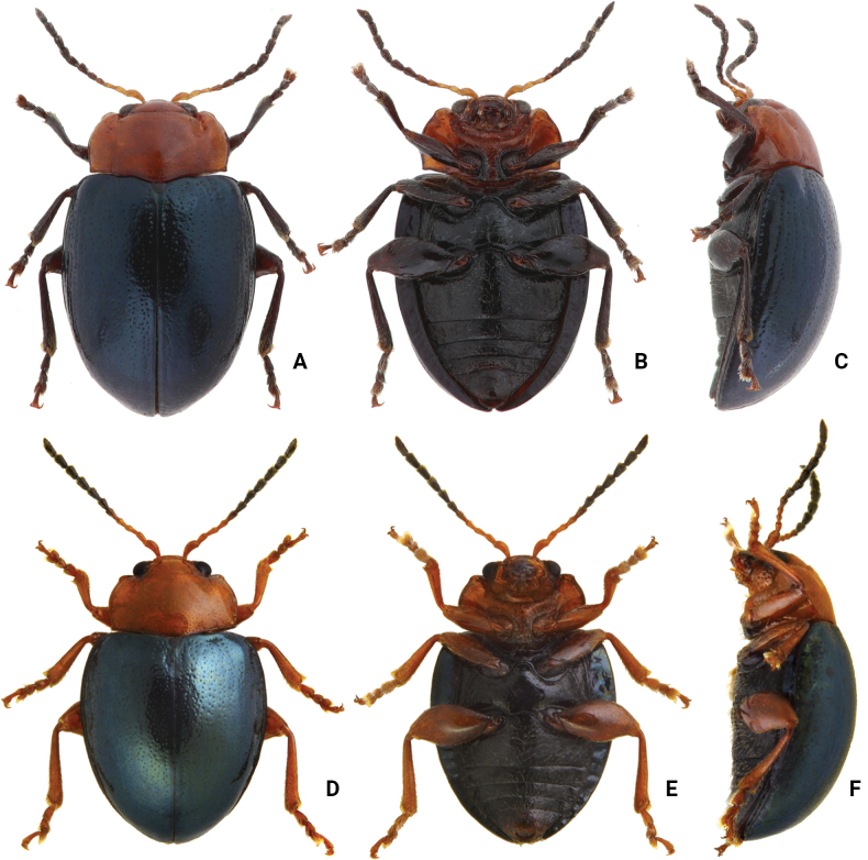 Figure 13