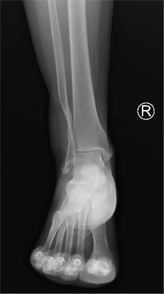 Figure 6