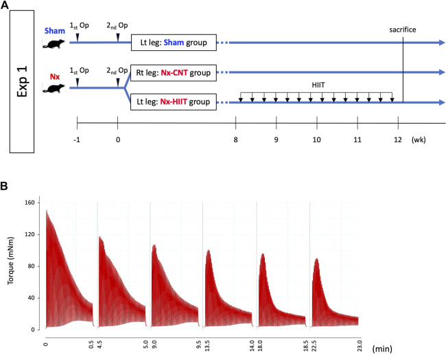 FIGURE 1