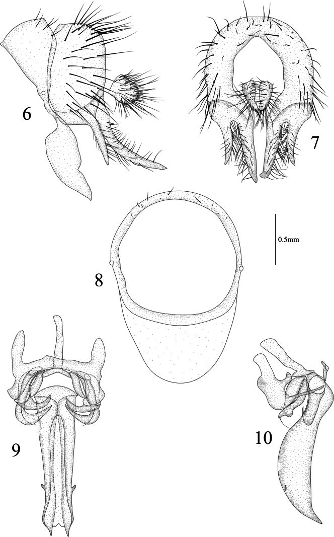 Figures 6–10