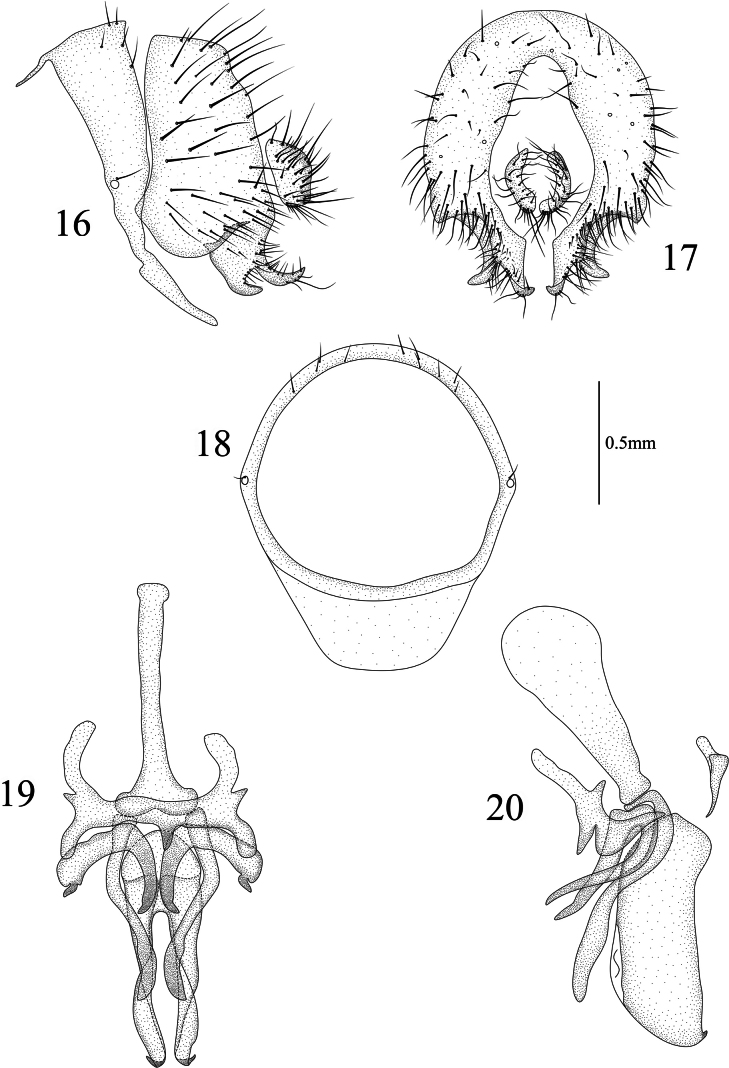 Figures 16–20