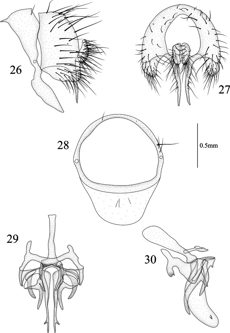 Figures 26–30