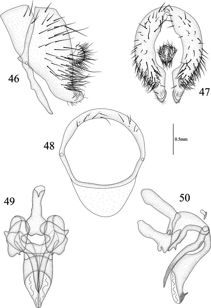 Figures 46–50