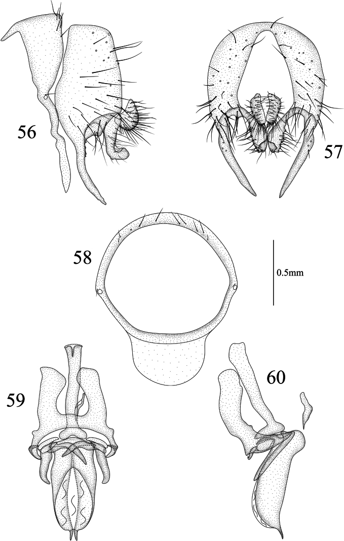 Figures 56–60