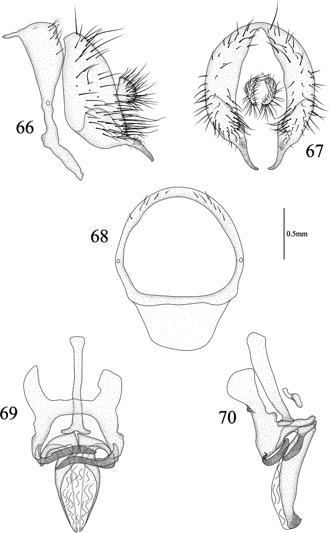 Figures 66–70