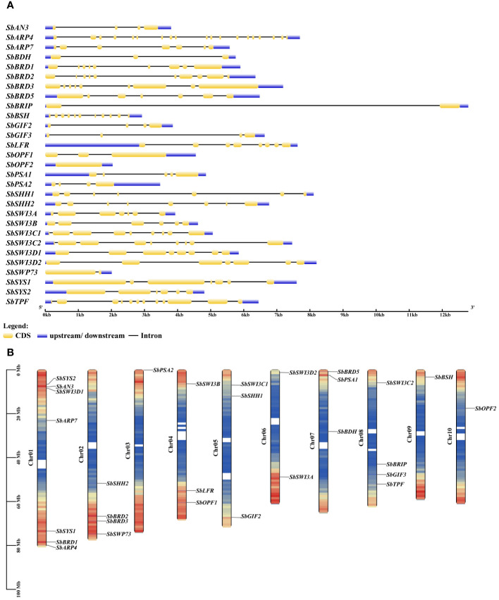 Figure 2