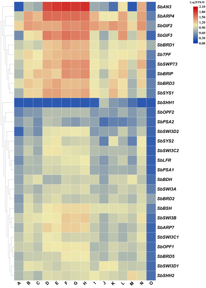 Figure 3