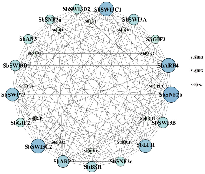Figure 6