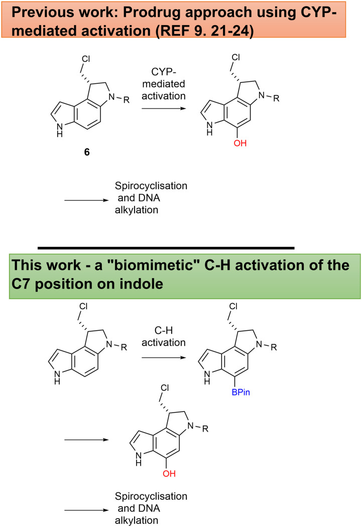 Scheme 1