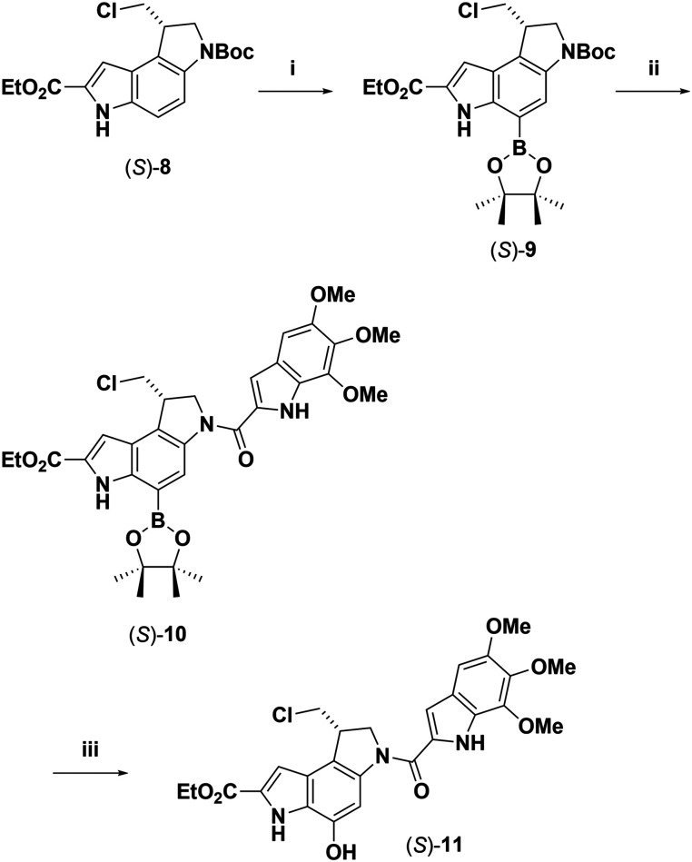 Scheme 5