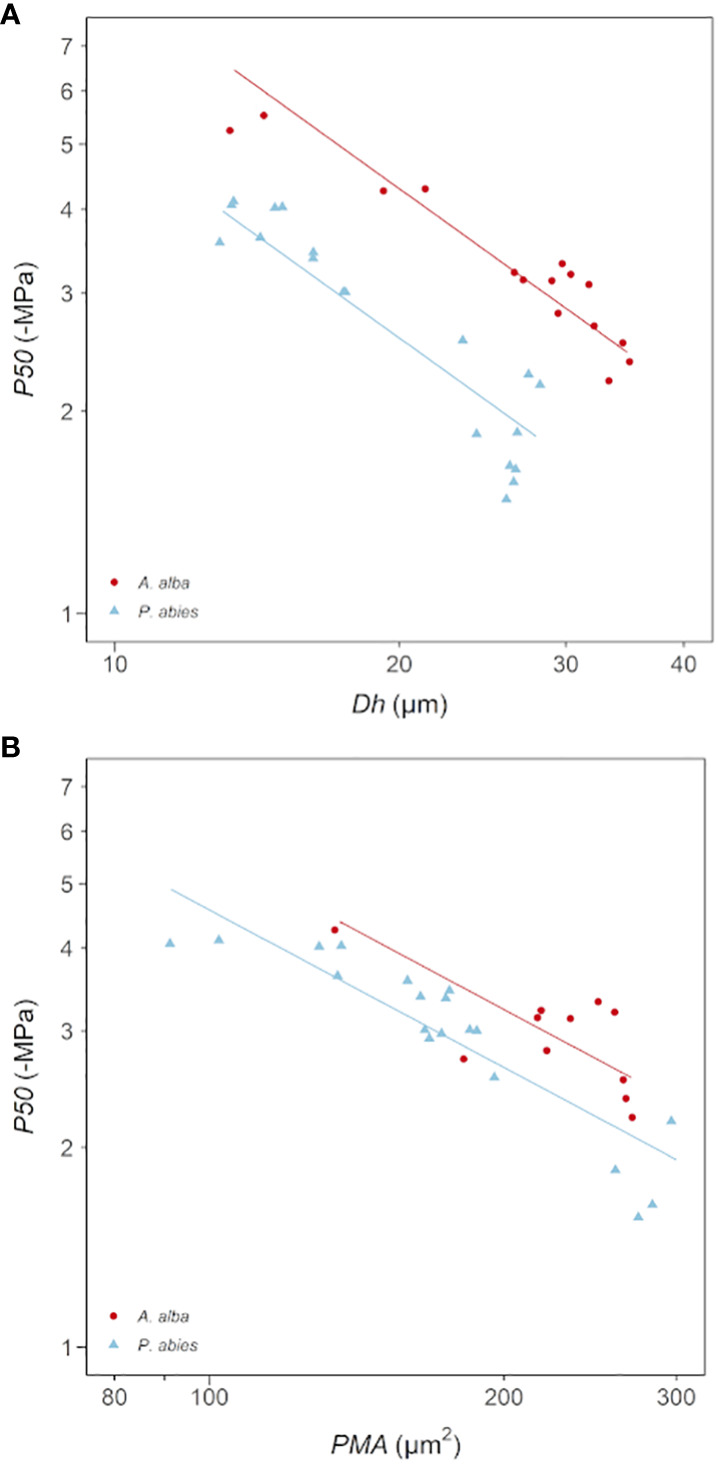 Figure 5
