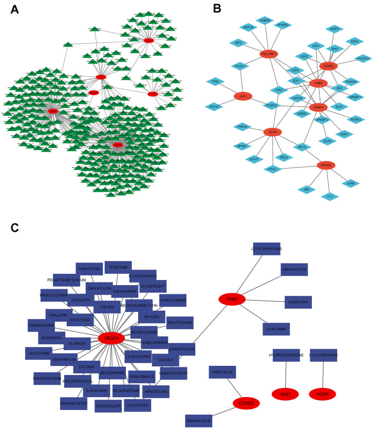 Figure 9