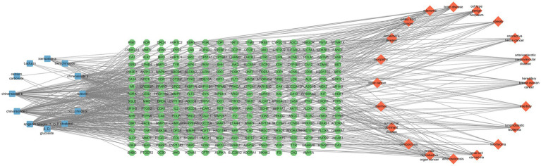 Figure 7