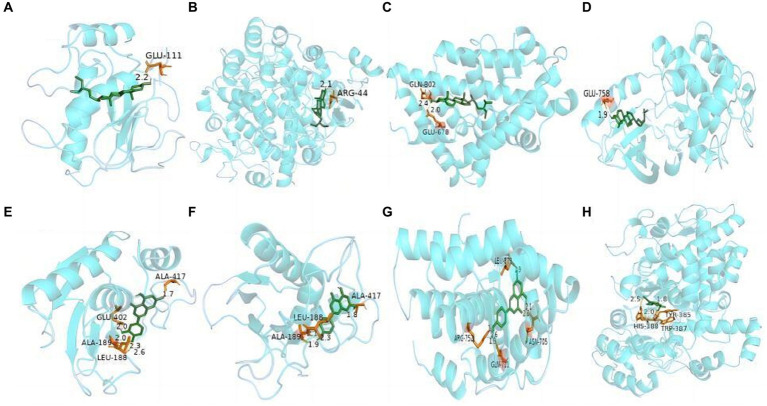 Figure 9