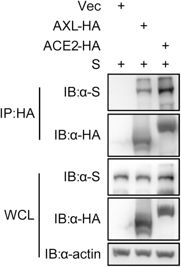 Figure 3