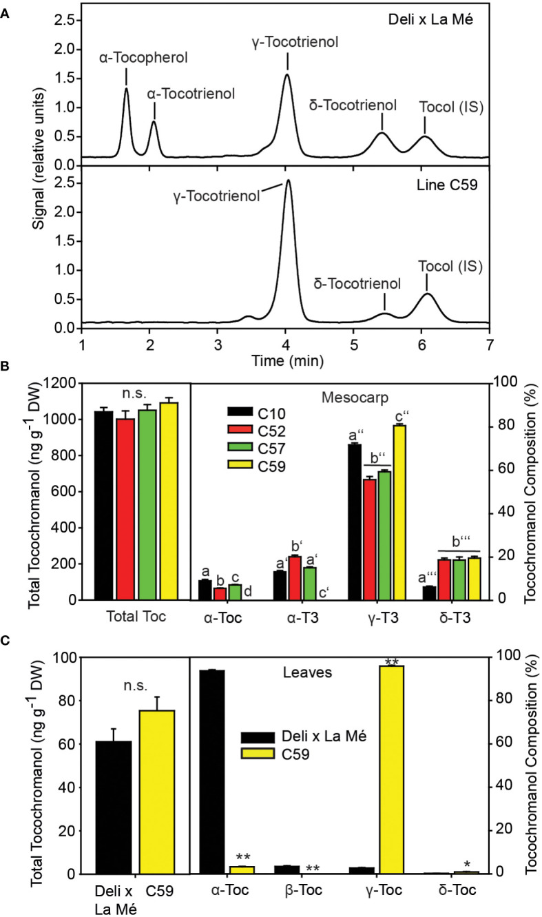 Figure 1