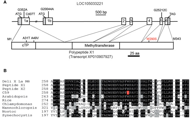Figure 2
