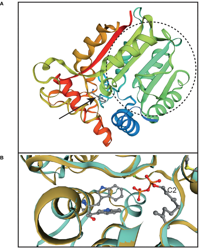 Figure 3