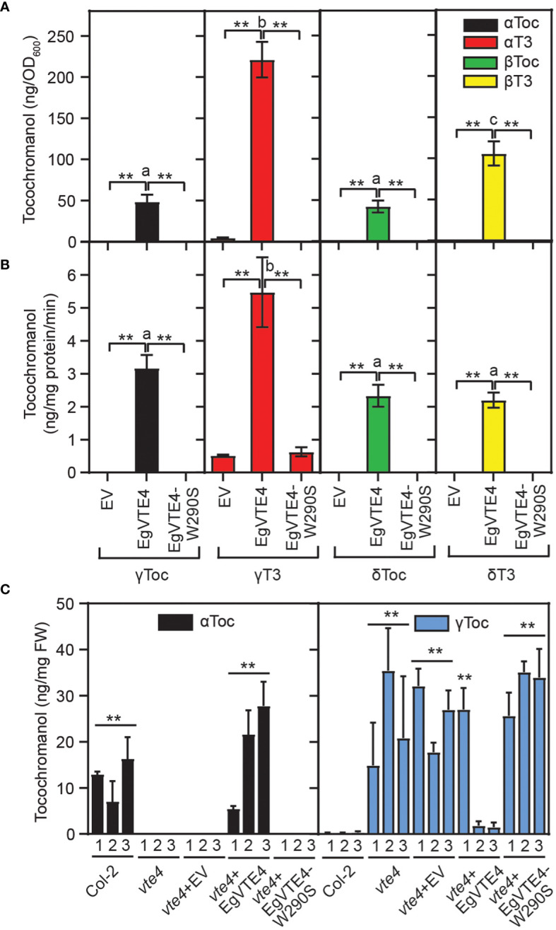 Figure 4