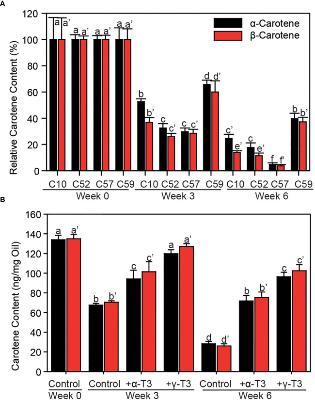 Figure 5