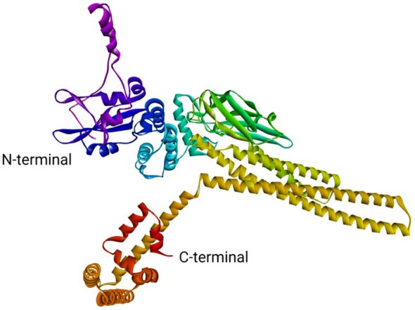 Figure 9